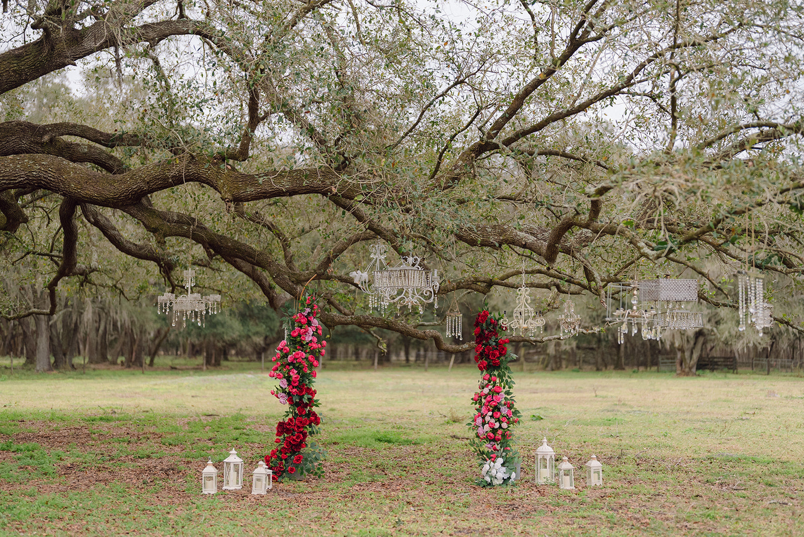 Enchanted Love Collection | Full Ceremony Arch